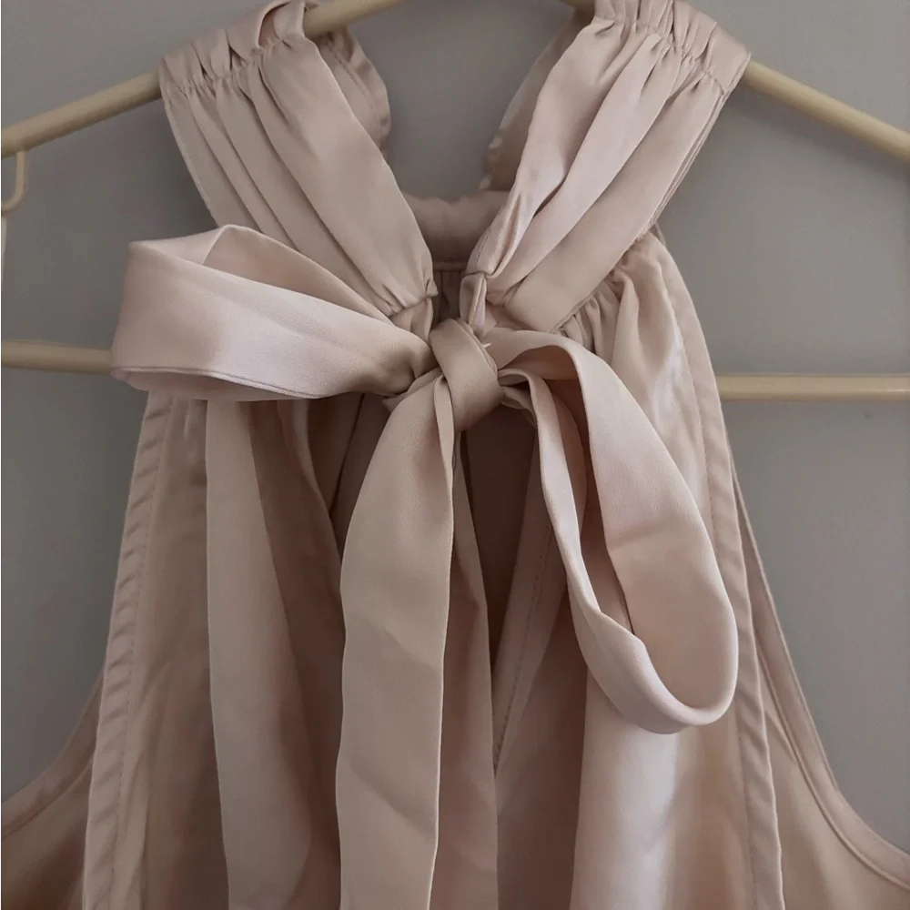 Strut & Bolt | Blush Pink Halter Top with Feather Detail - Picture 10 of 12